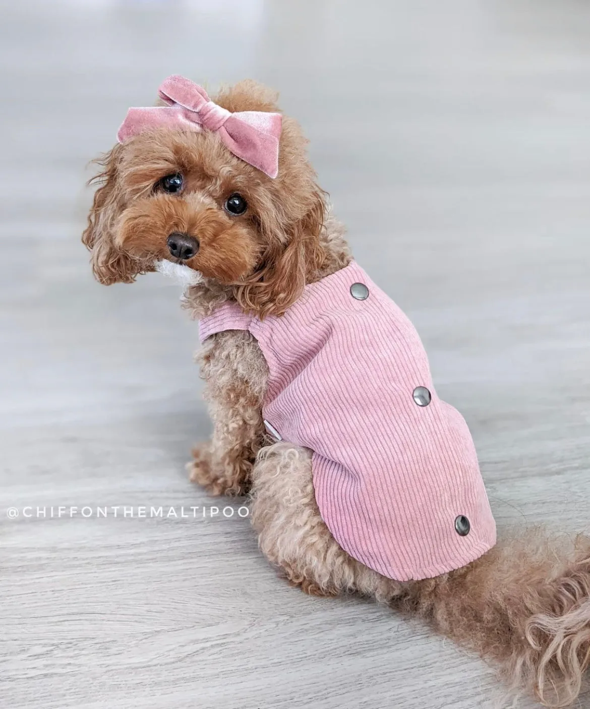 Corduroy Dress