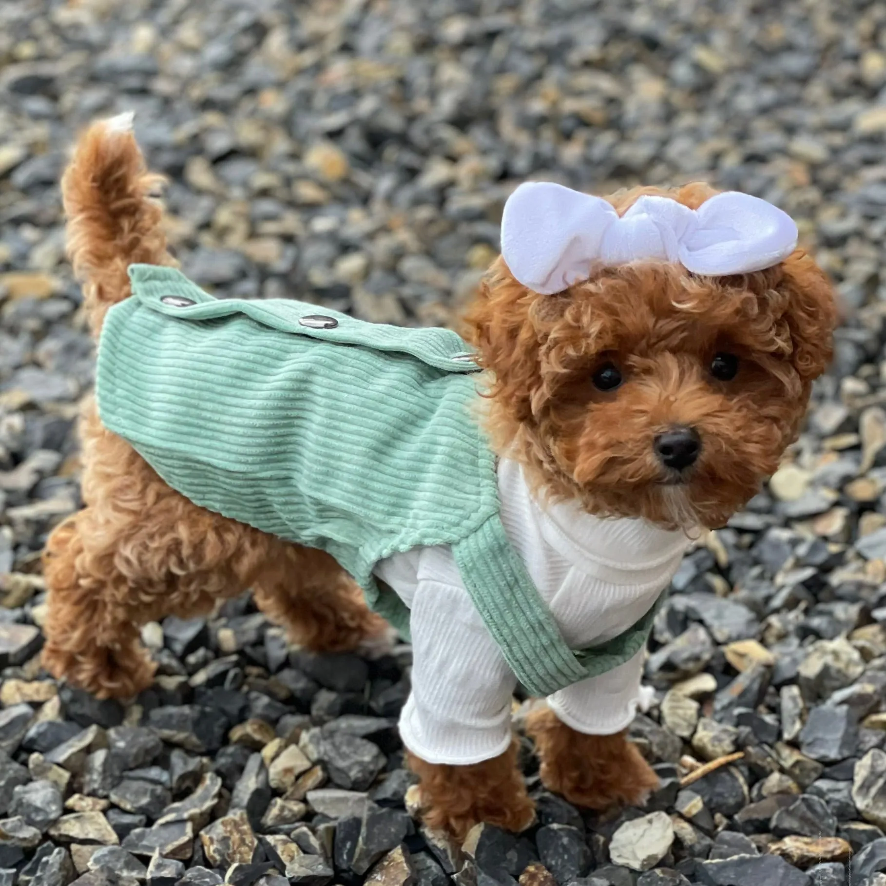 Corduroy Dress